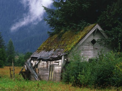 The sad shack I live in.